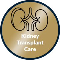 Kidney Transplant page link