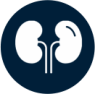 Kidney icon alt